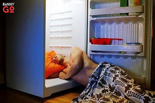 Buzdolabında Uyumak