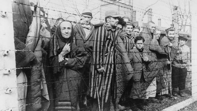 Auschwitz nazi kampı