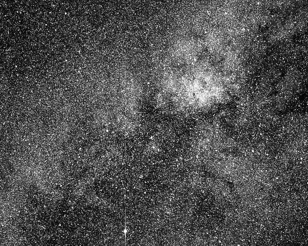 Nasa'nın TESS misyonu tarafından gökyüzünün küçük bir bölümünde 200.000'den fazla yıldız ele geçirildi