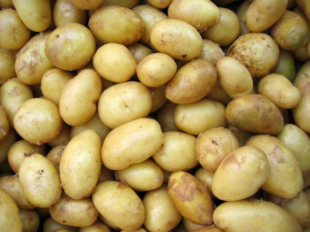 Haşlanmış Patates