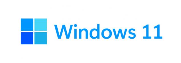 Windows 11 Logosu